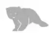 Bear File Converter