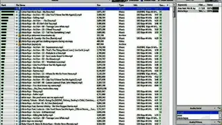 BearShare screenshot
