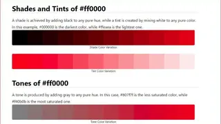BeautyColorCode screenshot
