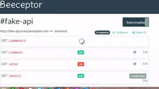 Beeceptor screenshot