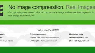 BeeIMG screenshot