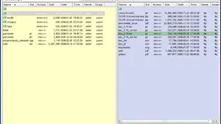 Beesoft Commander screenshot