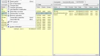 Beesoft Commander screenshot