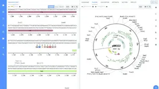 Benchling screenshot