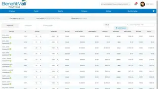 BenefitMall PayFocus screenshot