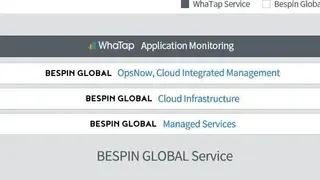 Bespin Global Cloud Platform screenshot