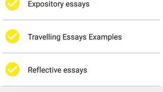 Best Essay Topics screenshot