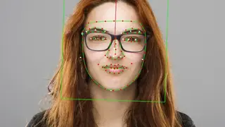 Betaface screenshot