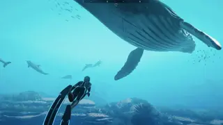Beyond Blue screenshot