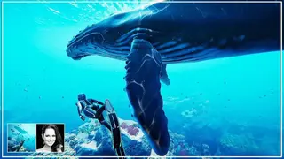 Beyond Blue screenshot