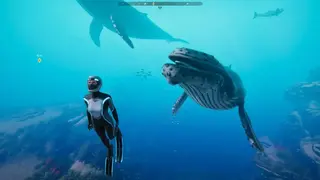 Beyond Blue screenshot