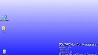 BGINFO4X screenshot