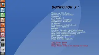 BGINFO4X screenshot
