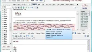 Bible Analyzer screenshot
