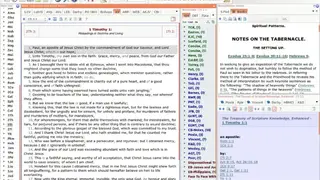 Bible Analyzer screenshot