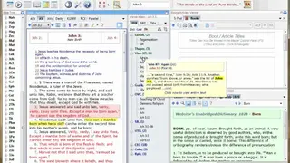 Bible Analyzer screenshot