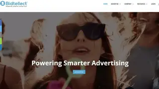 Bidtellect screenshot