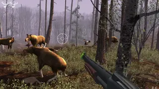 Big Buck Hunter screenshot