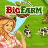 Big Farm