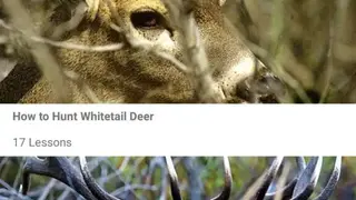 Big Game Hunting by HowtoHunt screenshot