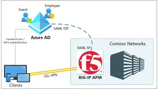 Big-IP TLS VPNs screenshot