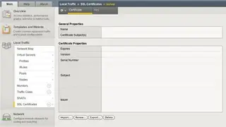 Big-IP TLS VPNs screenshot