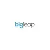Big Leap