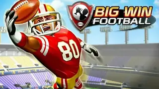 Big Win Football screenshot