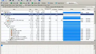 BiglyBT screenshot