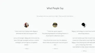BigSpy screenshot