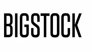 Bigstock screenshot