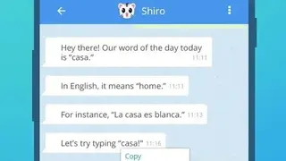 Bilingua screenshot