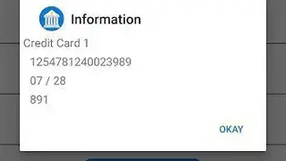 Billionaire Fake Bank Account Pro screenshot