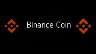 Binance Coin (BNB) screenshot