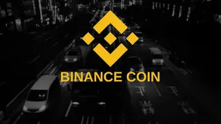 Binance Coin (BNB) screenshot