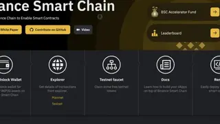 Binance Smart Chain (BSC) screenshot