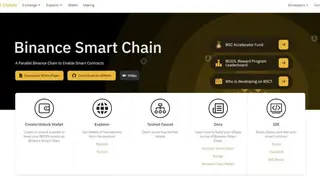 Binance Smart Chain (BSC) screenshot