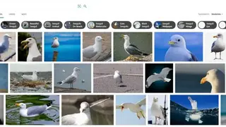 Bing Images screenshot