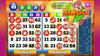 Bingo screenshot