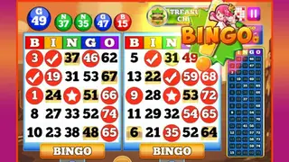 Bingo screenshot
