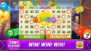 Bingo Party – Crazy Bingo Tour screenshot