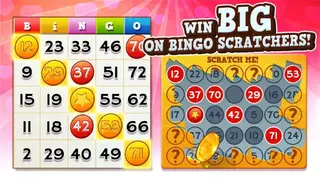 Bingo Pop screenshot