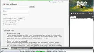 BinTube Usenet Access screenshot