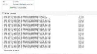 BiNZB screenshot