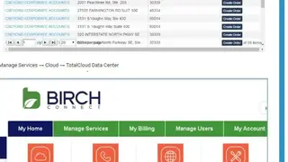 BirchVoice screenshot