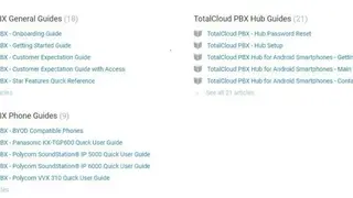 BirchVoice screenshot