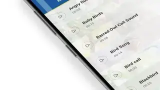 Bird Calls, Sounds & Ringtones screenshot