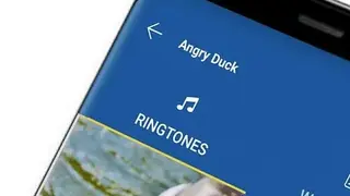 Bird Calls, Sounds & Ringtones screenshot