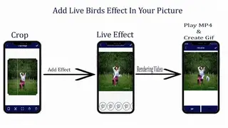 Bird Live Photo Editor screenshot