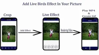Bird Live Photo Editor screenshot